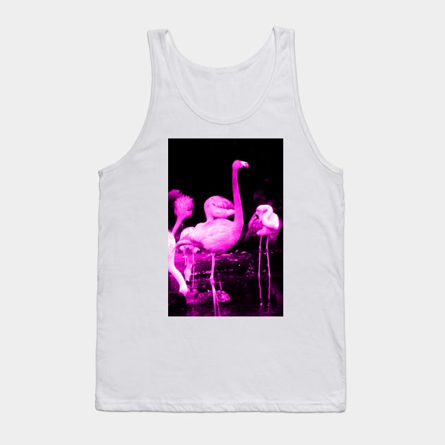 Hot Pink Flamingos Tank Top by BlakCircleGirl